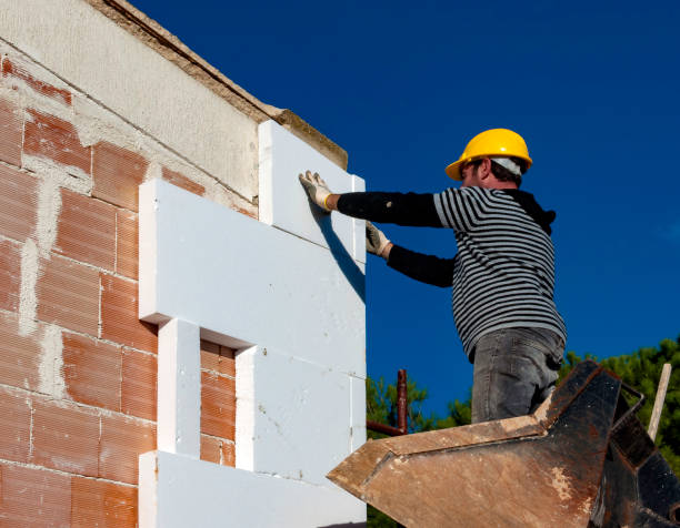 Best Insulation Maintenance and Repair in Walnut Grove, GA