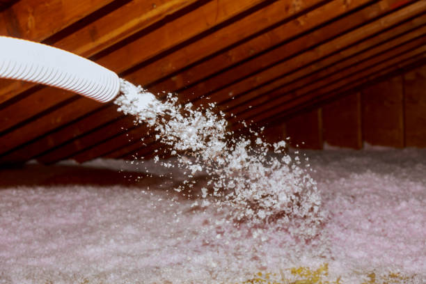 Best Blown-in Insulation in Walnut Grove, GA