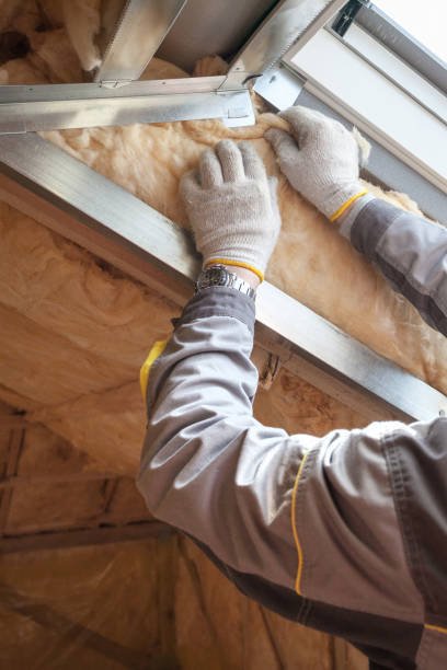 Best Cellulose Insulation in Walnut Grove, GA