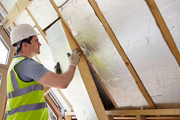 Best Geographic-Specific Insulation Services in Walnut Grove, GA