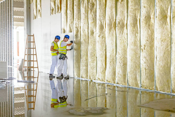Professional Insulation Contractor in Walnut Grove, GA